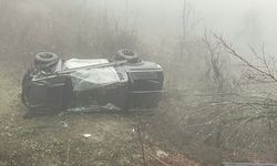 Araç Yoldan Çıktı, Ormanlık Alana Uçtu