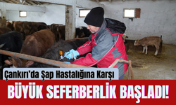 Çankırı’da Şap Hastalığına Karşı Büyük Seferberlik Başladı!