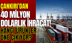 Çankırı’dan 40 Milyon Dolarlık İhracat! Hangi Ürünler Öne Çıkıyor?