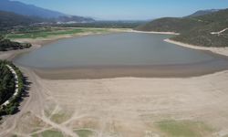 Doğal Yaşam Geri Döndü: Kuruma Riski Altındaki Gölette Umut Veren Değişim