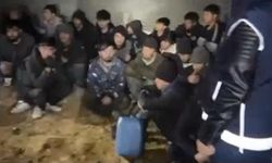 Göçmen Kaçakçılığı Çetesi Çökertildi: Tır, Silah ve Mühimmat Ele Geçirildi