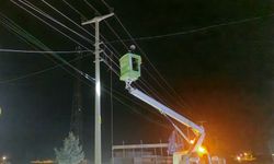 Kamyon Direği Devirdi, Hatlar Zarar Gördü