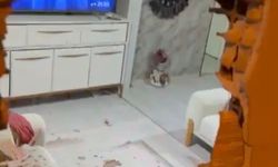 Kamyonet Duvara Çarptı, Parçalar Eve Savruldu: 1 Yaralı