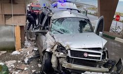 Kontrolden Çıkan Araç Hastane Girişini Biçti: Baba ve Oğlu Yaralandı