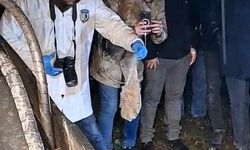 Mezardan Çıkan Paket Herkesi Şoke Etti!