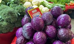 Pazarda 80 Lira, Tarlada 5 Lira! Karalahanada Büyük Fiyat Uçurumu