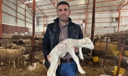 1,1 Milyonluk Koça Rekor Talep