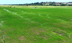 16 Bin m²’lik İhlal Ortaya Çıktı: Yüzlerce Bin TL Ceza Kesildi