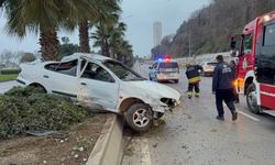 Alkollü Yakalandı, Yine Direksiyona Geçti