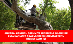 ANKARA, ÇANKIRI, ÇORUM VE KIRIKKALE İLLERİNDE BULUNAN ANIT AĞAÇLARIN REHABİLİTASYONU HİZMET ALIM İŞİ