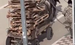 Aşırı Yük Altındaki Atın Zor Anları Sosyal Medyada Paylaşıldı!