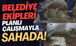 Belediye Ekipleri Planlı Çalışmayla Sahada!