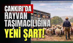 Çankırı’da Hayvan Taşımacılığına Yeni Şart!