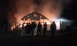 Çiftlik Yangını: 250 Tavuk, 150 Civciv ve 180 Kaz Telef Oldu!