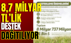 8,7 Milyar TL’lik Destek Dağıtılıyor