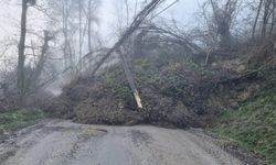Heyelan Sebebiyle Köy Yolları Ulaşıma Kapandı
