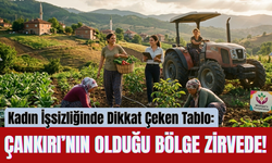 Kadın İşsizliğinde Dikkat Çeken Tablo: Çankırı’nın Olduğu Bölge Zirvede!