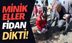 Minik Eller Fidan Dikti!