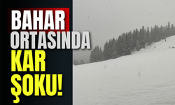 Bahar Ortasında Kar Şoku!