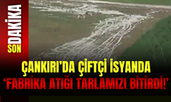 Çankırı’da çiftçi isyanda: "Fabrika atığı tarlamızı bitirdi!"