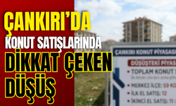 Çankırı’da Konut Satışlarında Dikkat Çeken Düşüş