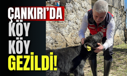 Çankırı’da Köy Köy Gezildi!