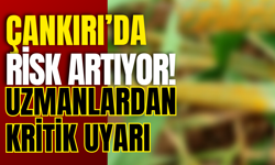 Çankırı’da Risk Artıyor! Uzmanlardan Kritik Uyarı