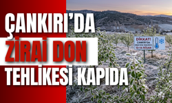 Çankırı’da Zirai Don Tehlikesi Kapıda