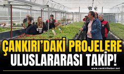 Çankırı’daki Projelere Uluslararası Takip!