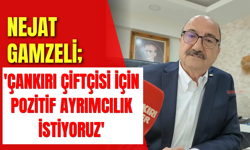 Nejat Gamzeli; 'Çankırı Çiftçisi İçin Pozitif Ayrımcılık istiyoruz'