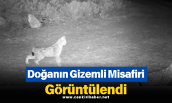 Doğanın Gizemli Misafiri Görüntülendi