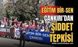 Eğitim Bir-Sen Çankırı’dan Şiddet Tepkisi