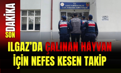 Ilgaz’da Çalınan Hayvan İçin Nefes Kesen Takip