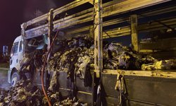 Kamyonun Dorsesi Alev Aldı: Trafik Kilitlendi