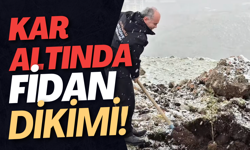 Kar Altında Fidan Dikimi!