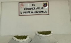 Narkotik Operasyonu: Çok Sayıda Gözaltı!