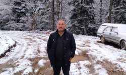 Orman İşçisi Hayatını Kaybetti!