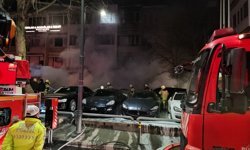 Park Halindeki Araçlar Alevlere Teslim