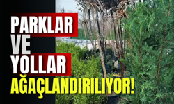 Parklar ve Yollar Ağaçlandırılıyor!