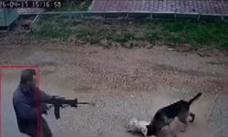 Sokak Ortasında Dehşet: Köpekleri İzleyip Ateş Açtı!