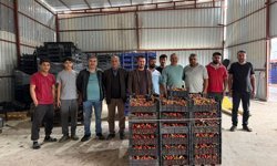 Üretici İsyanı: Marketle Arada 3 Kat Fark