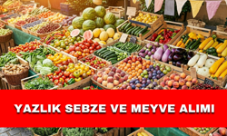YAZLIK SEBZE VE MEYVE ALIMI