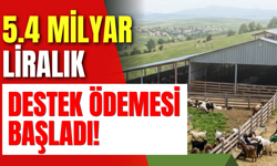 5.4 Milyar Liralık Destek Ödemesi Başladı!