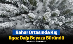 Bahar Ortasında Kış: Ilgaz Dağı Beyaza Büründü
