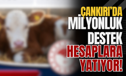 Çankırı’da Milyonluk Destek Hesaplara Yatıyor!