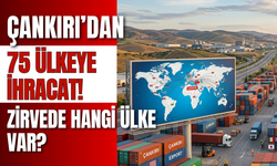 Çankırı’dan 75 Ülkeye İhracat! Zirvede Hangi Ülke Var?