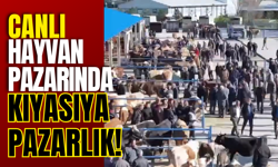 Canlı Hayvan Pazarında Kıyasıya Pazarlık!