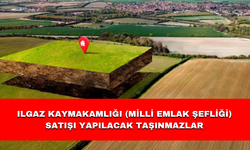 ILGAZ KAYMAKAMLIĞI (MİLLİ EMLAK ŞEFLİĞİ)  SATIŞI YAPILACAK TAŞINMAZLAR