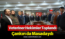 Veteriner Hekimler Toplandı: Çankırı da Masadaydı