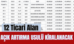 12 Ticari Alan Açık Artırma Usulü Kiralanacak